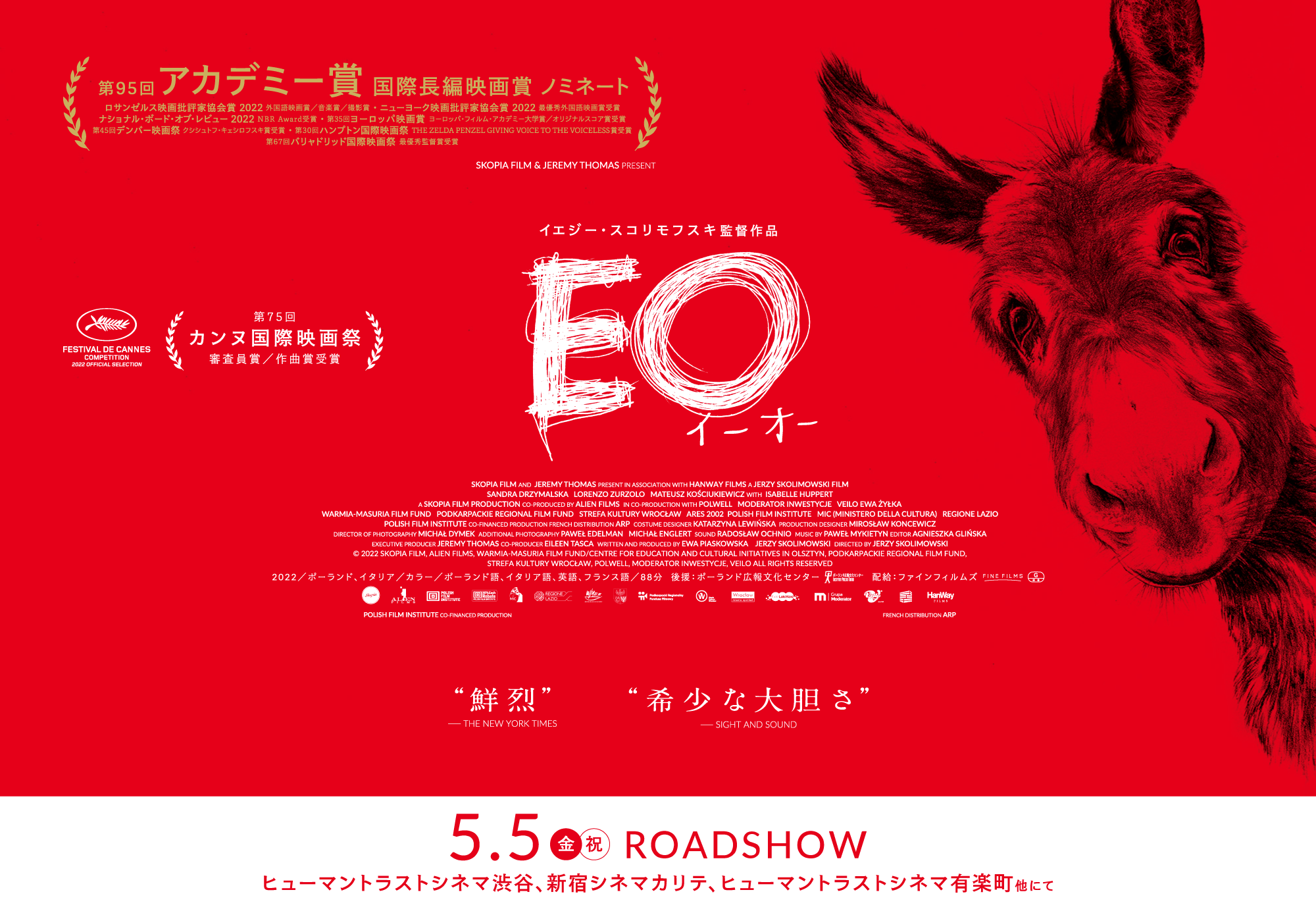 映画『EO イーオー』公式サイト
